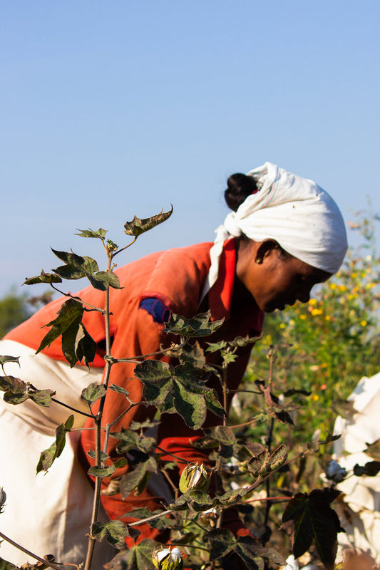 Growing better together: Kowtow & Fairtrade