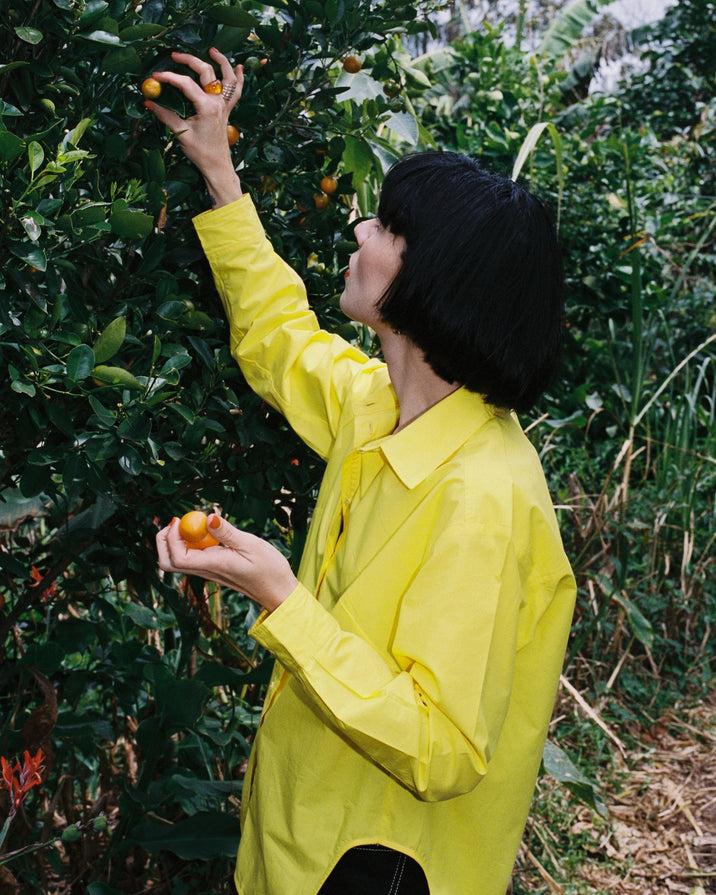 A person wearing a bright yellow button-up shirt stands in an outdoor orchard, reaching for small orange fruits on a leafy tree while holding one fruit in their hand.