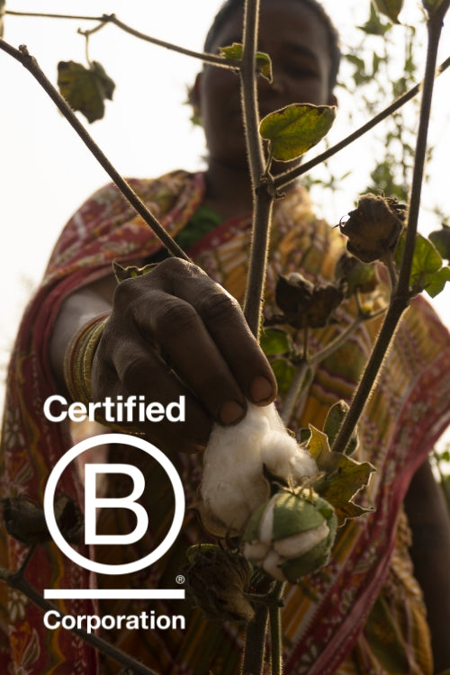 Becoming a B Corp