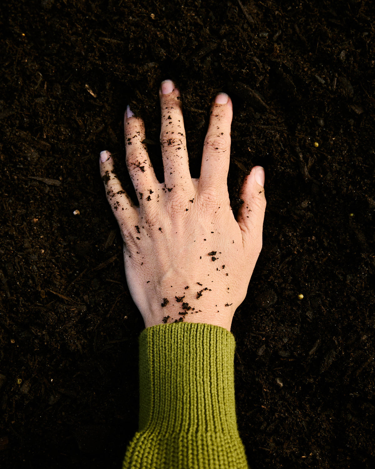 Editorial background