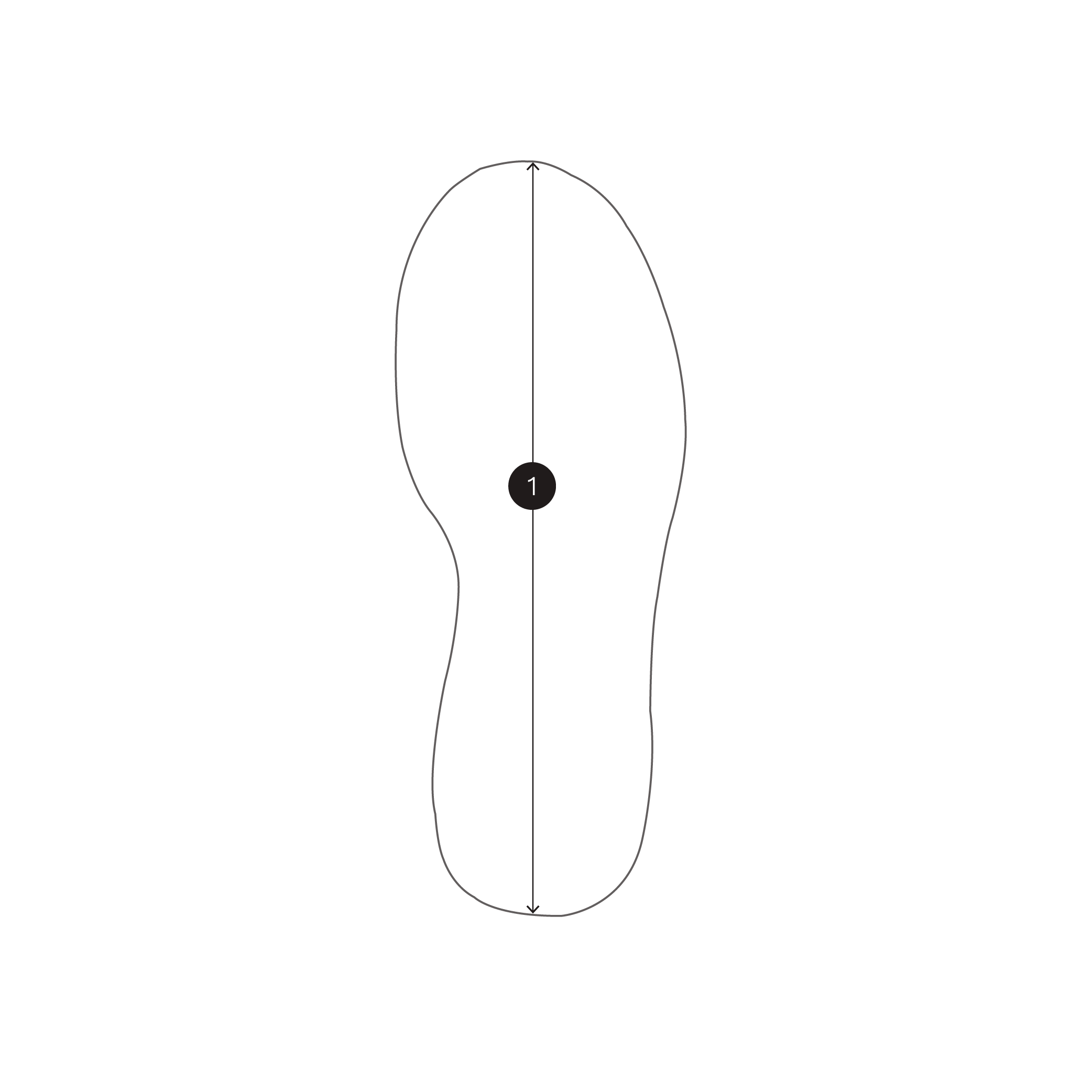 Measurement Guide