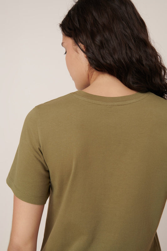 Compost Tee
