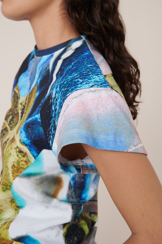 Monarch Top