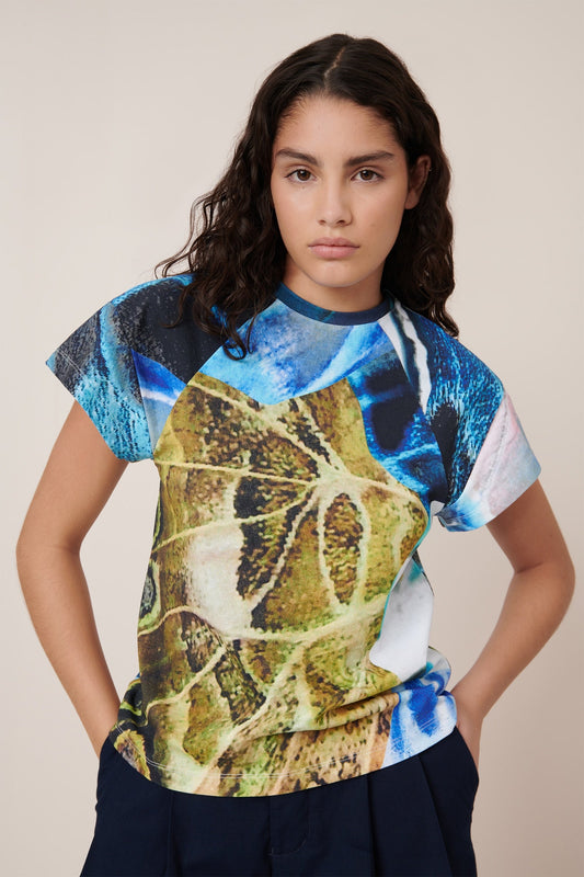 Monarch Top