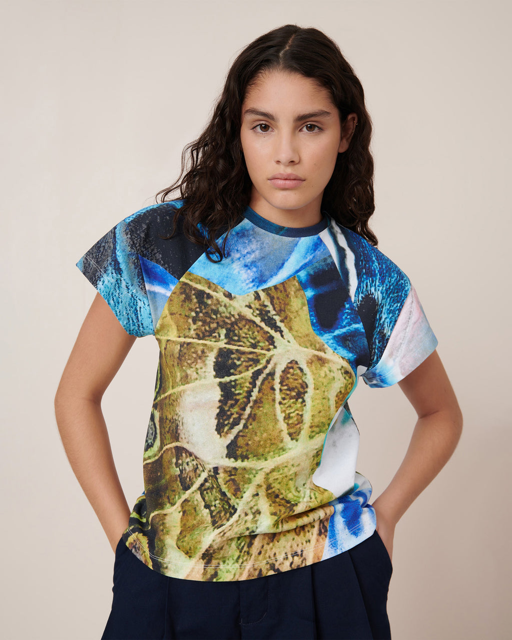 Monarch Top