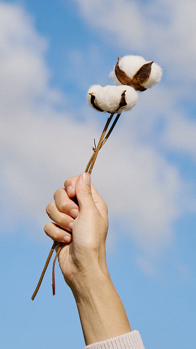 <h1>CONSCIOUS. CONSIDERED. CIRCULAR.</h1>